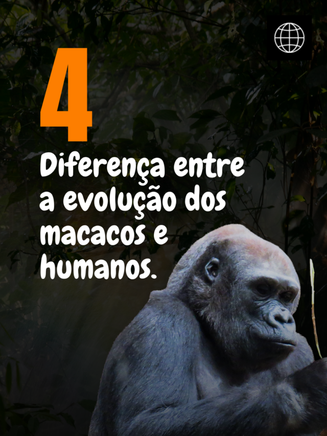 4 Diferença entre a evolução dos macacos e humanos.